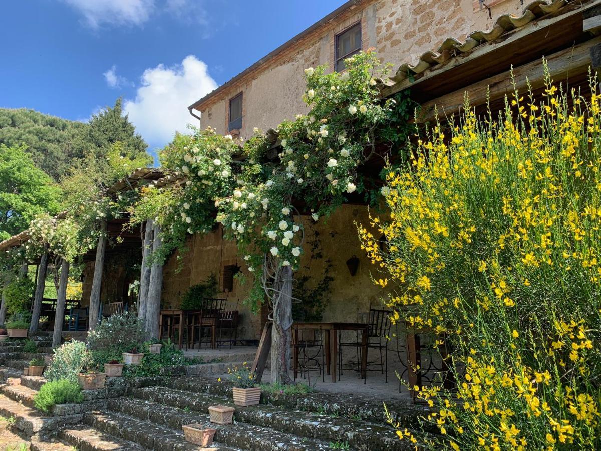 Agriturismo Locanda Settimo Cielo Lubriano Exterior photo