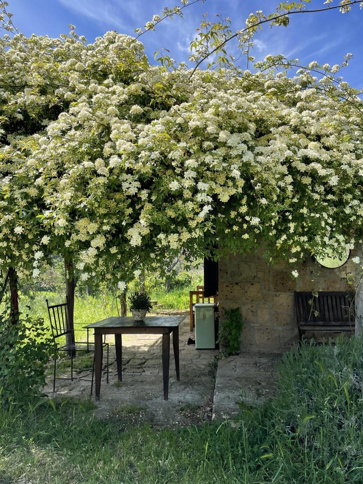 Agriturismo Locanda Settimo Cielo Lubriano Exterior photo