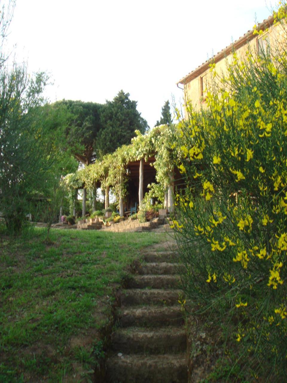 Agriturismo Locanda Settimo Cielo Lubriano Exterior photo
